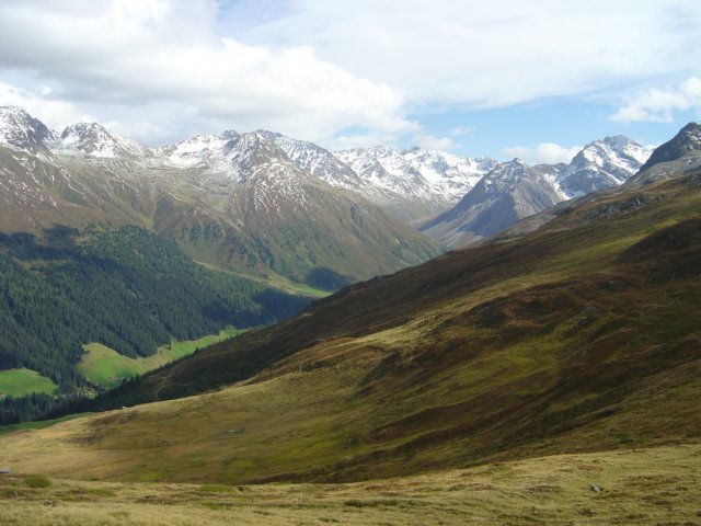 rinerhorn3.jpg